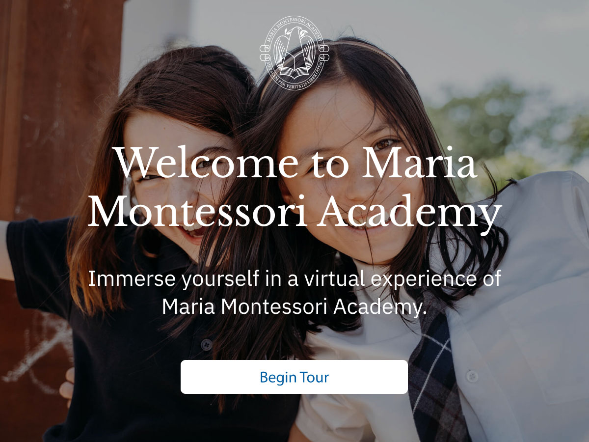 mm-embed-thumbnail-button PS1200